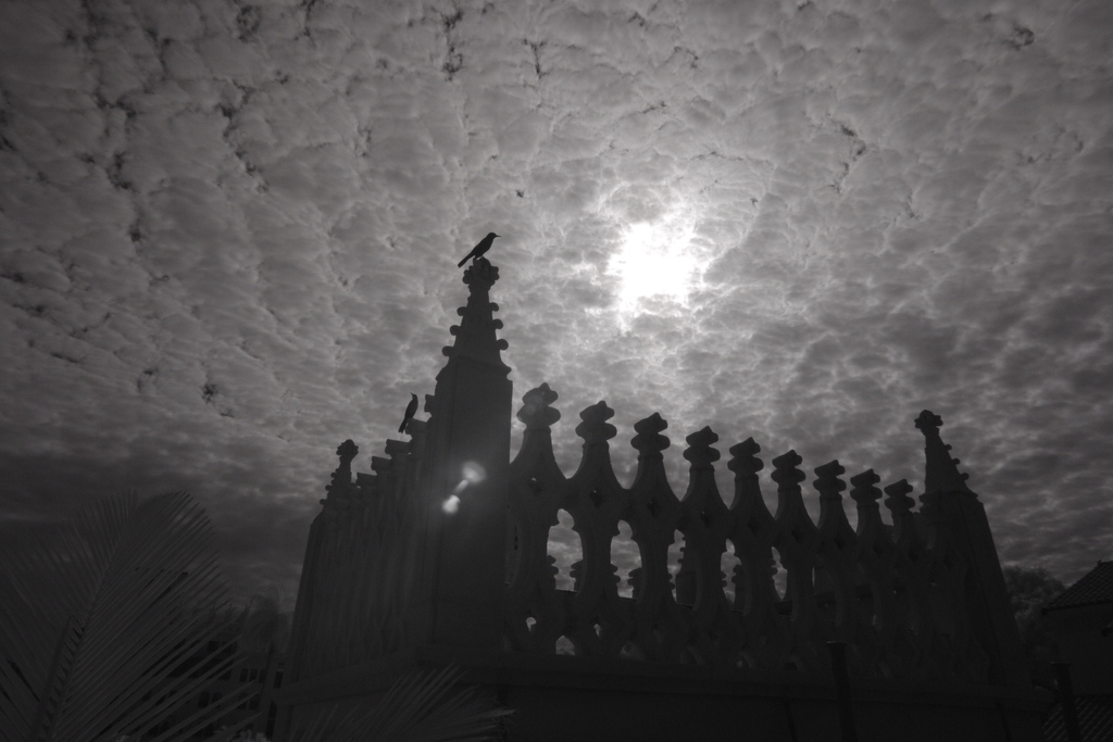 imagemaker89's tweet image. Happy Friday!
Light within Darkness.

#imagemaker89 
#fortlauderdalephotographer 
#eventphotography   
#photographer 
#ftlphotographer
#localphotographer
#clay_h_wieland
#cwpinfraredimages
#claywielandphotography
#fortlauderdale