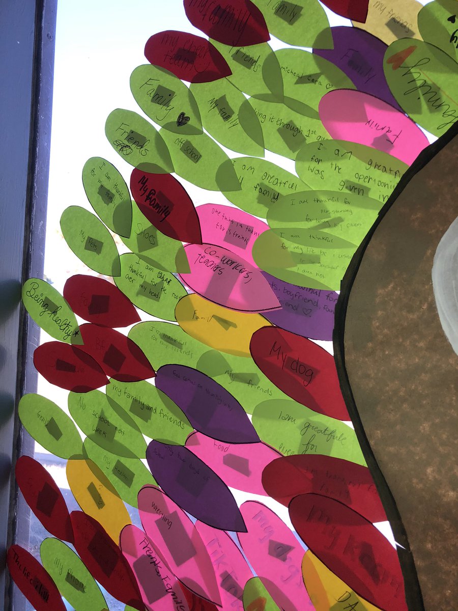 FHSHiipTeam's tweet photo. Although we may not be here next week, the students of Fox High have many reasons to be thankful! @FoxC6Super @FoxC6Schools @rsherp https://t.co/UXkH4uCuT7
