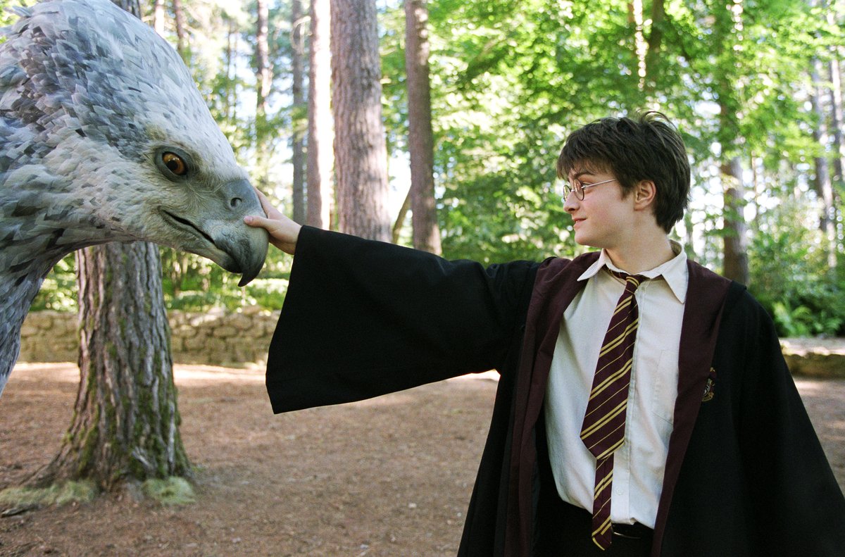 HP_jp_official's tweet photo. ピッポグリフのバックビーク🦅✨

相手が敬意を示さなければ、攻撃する傾向にある誇り高い��法動物です☝️

まずはあいさつから

🧙‍♂️ﾍﾟｺﾘ　　　　🦅ﾍﾟｺﾘ

#ファンタスティックハリポタ20周年
#みんなでハリポタ https://t.co/hxkEf6hnjv