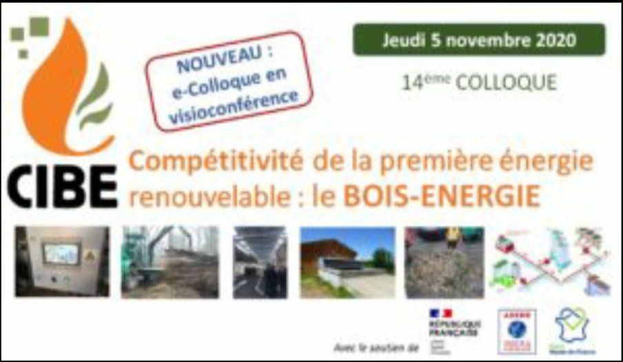 Le 5 novembre, Bois Energie France <a href="/dalkia/">Dalkia</a> a participé au colloque @BoisEnergieCibe sur la compétitivité du bois énergie. Des échanges intéressants et constructifs autour du bois énergie, 1ère énergie renouvelable en France #biomasse #ENR  #BoisEnergie