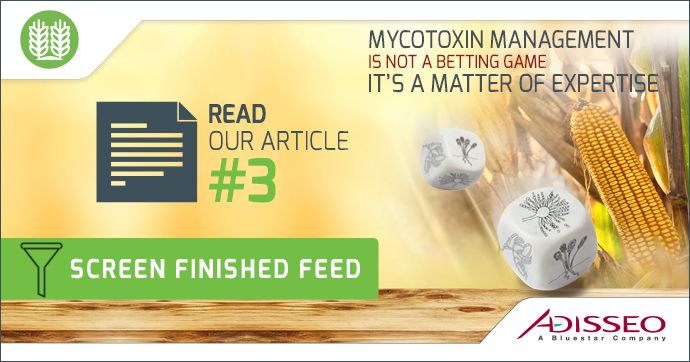 Adisseo's tweet image. One of the possible strategy on mycotoxin risk management is to test their possible presence in finished feeds. Rapid test kits could miss some important raw ingredients, which may cause a significant contamination of them. #MycotoxinManagement ➡️ rs-adisseo.com/r/Mycotoxin06/…