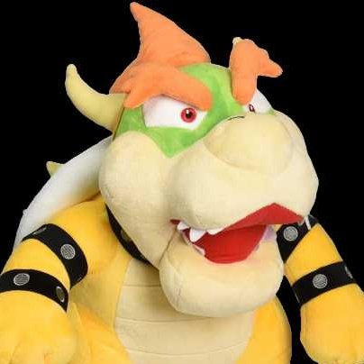 Kategori Meander support boser on Twitter: "LEARN THE DIFFERENCE Bowser: boser:  https://t.co/ePky67mIHx" / Twitter