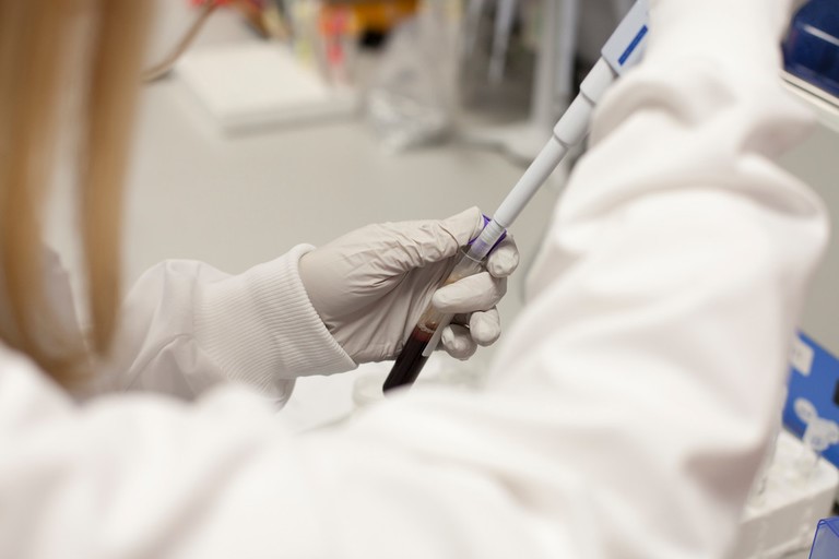 GSTTnhs's tweet photo. A big thank you to our fantastic pathology teams who play a crucial role supporting high quality patient care. 

Our colleagues @ViapathUK have been central to our pandemic response this year, delivering vital testing and research.

#NationalPathologyWeek #PathologyWeek #TeamGSTT https://t.co/Fi6kSd9rKF