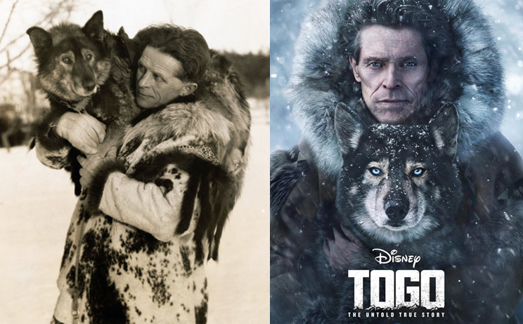 LaMicroMola's tweet photo. ¿Habéis visto la película "Togo"? En 1925 una epidemia de difteria amenazaba Nome (Alaska), y 20 mushers con 150 perros se relevaron a lo largo de los 1085 km que separan Nome de Nenana para llevar antisuero diftérico en tan sólo 5 días y medio. Togo lideró su tiro 587 km.. https://t.co/tQkT8VCpi4