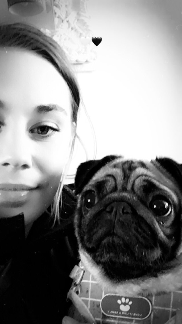 Throwmeabone2's tweet photo. Betty the pug 😍 #DogsofTwittter #puglife #pugs #pig #puglovers #puppylove #puppyeyes https://t.co/9p2YK6sMLh
