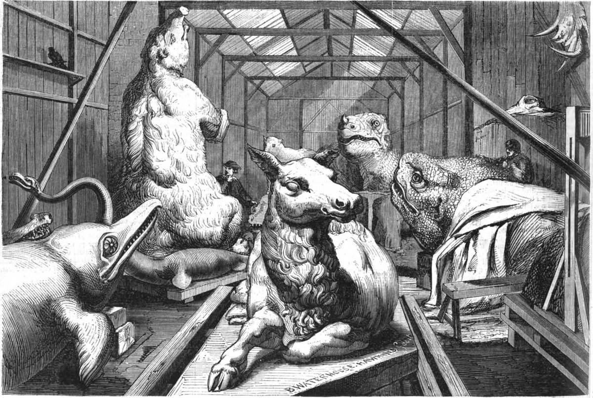 ... and by late 1853 Hawkins had finished 10-15 sculptures, so had a shed full of amazing stuff. The CP Company realised their PR potential and started letting the press in to see it. This might be the first corporate recognition of the marketing potential of prehistoric animals.