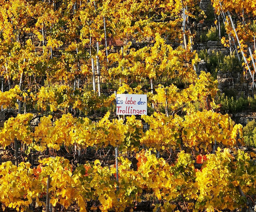 na egal, Hauptsache :