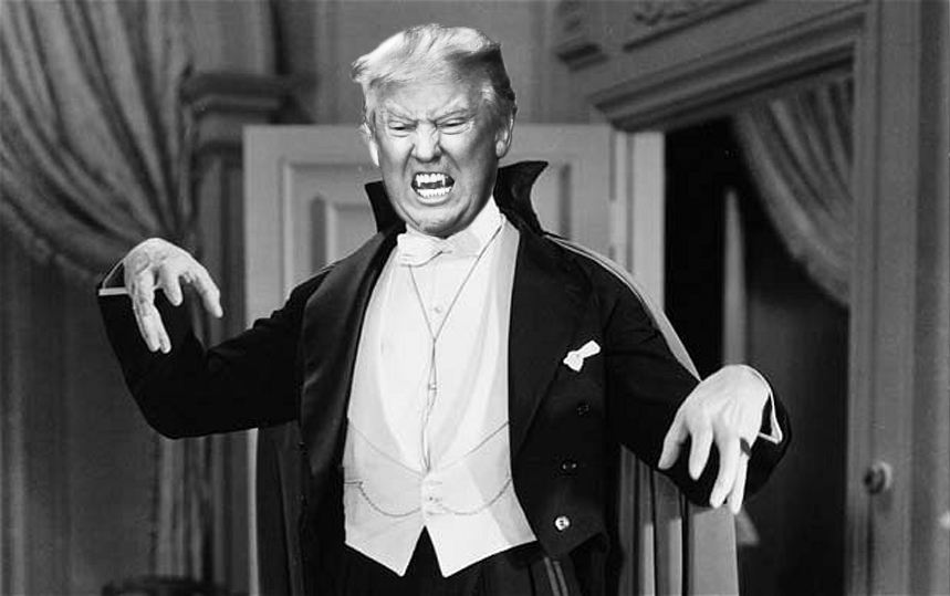 MaxGuitarStore's tweet photo. @realDonaldTrump Stop the COUNT! https://t.co/TjEJFKmFo2