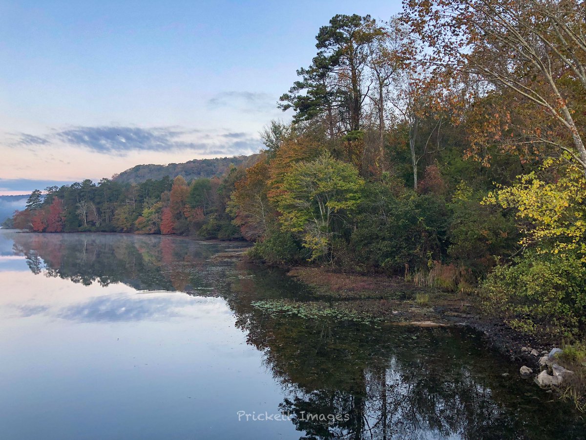 Jason Simpson tweet media