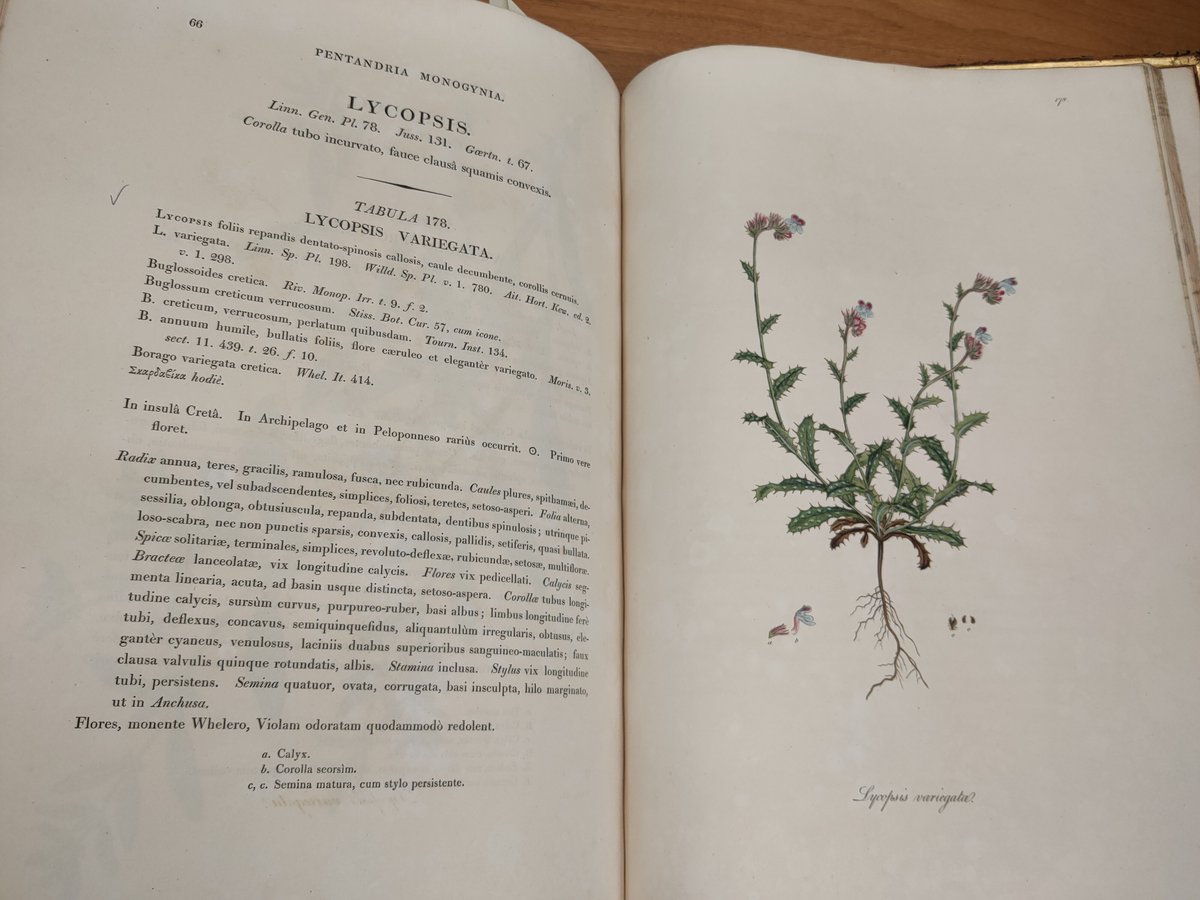 We may be biased, but we think  @OxfordHerbaria is THE most fascinating resources at  @UniofOxford. It holds 400 years of plant collections – some specimens were collected by Darwin! Photos by @AymTellsStores, who says their hour in the Herbaria was one of the best of their life 4/