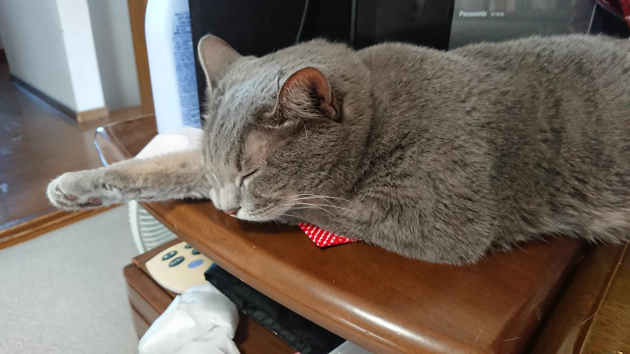 @kyuryuZ 我が家の猫は鼻から「プスー」派です😁 