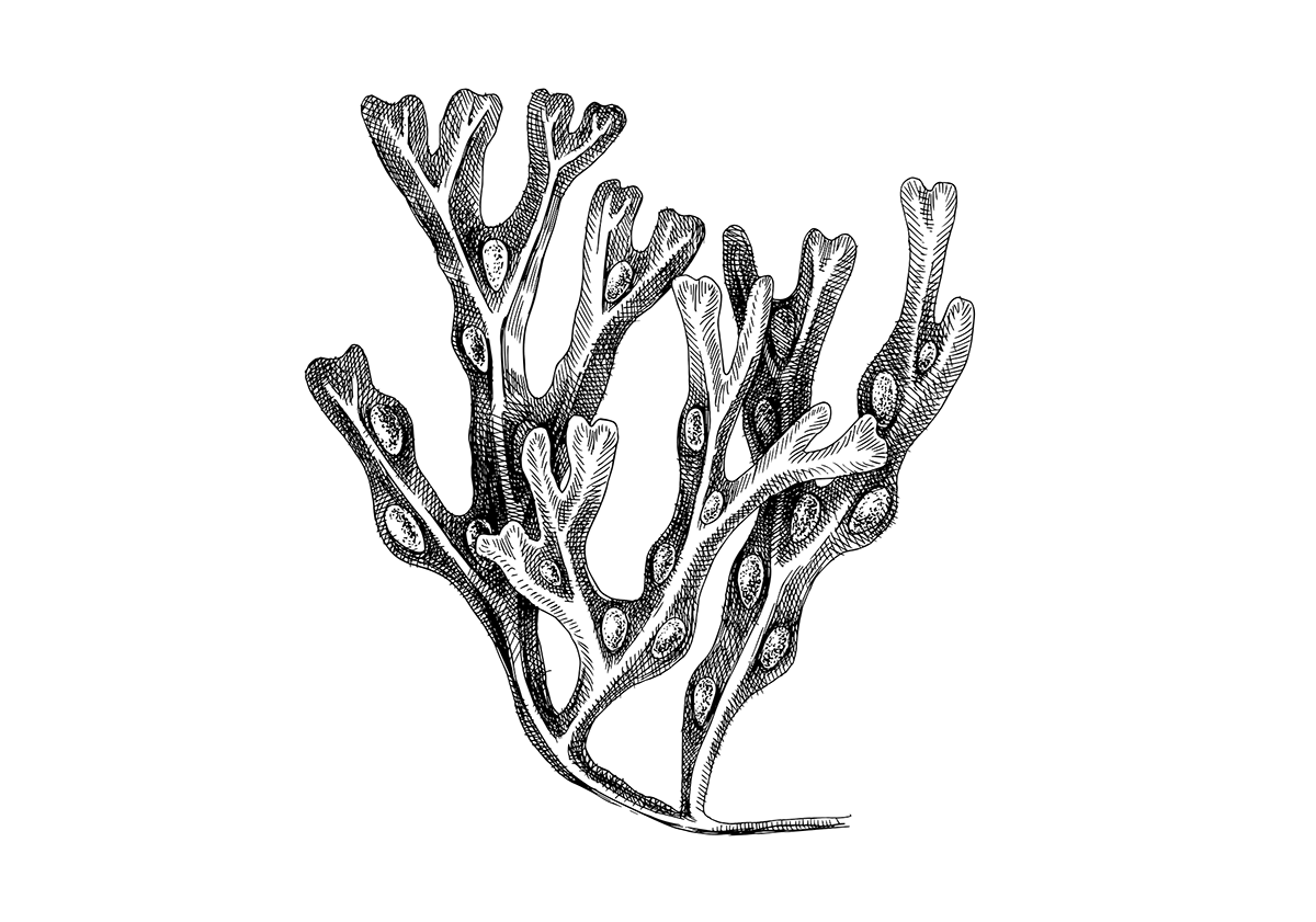 The Maverick Guide tweet media