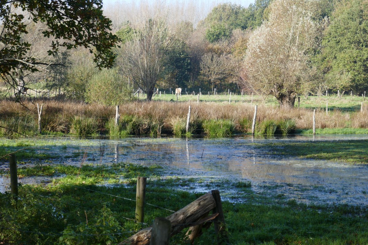 JFernandezYMend's tweet photo. 11.00H #serskamp #vrtweer https://t.co/hhihnApoOW