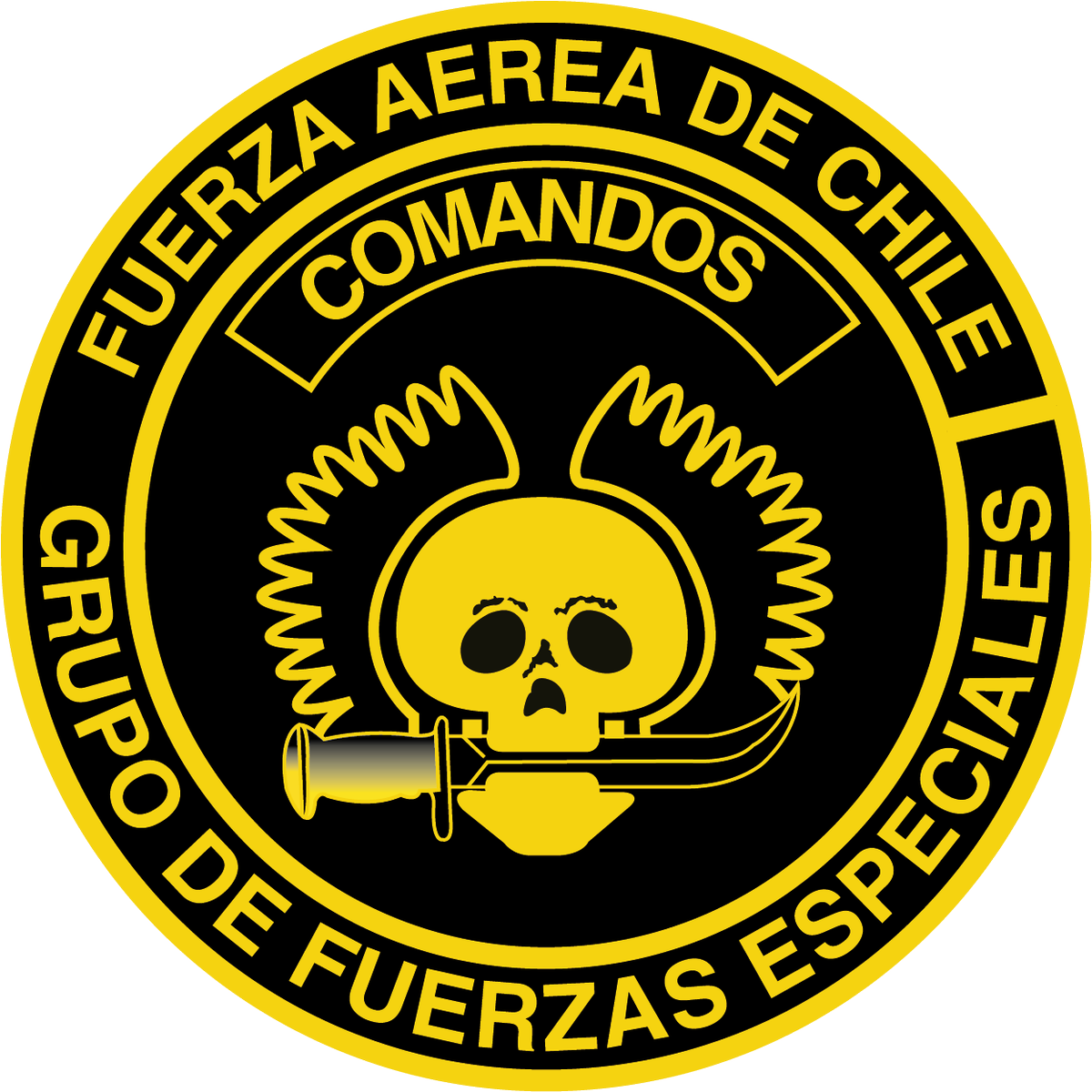 FACh_Chile tweet picture