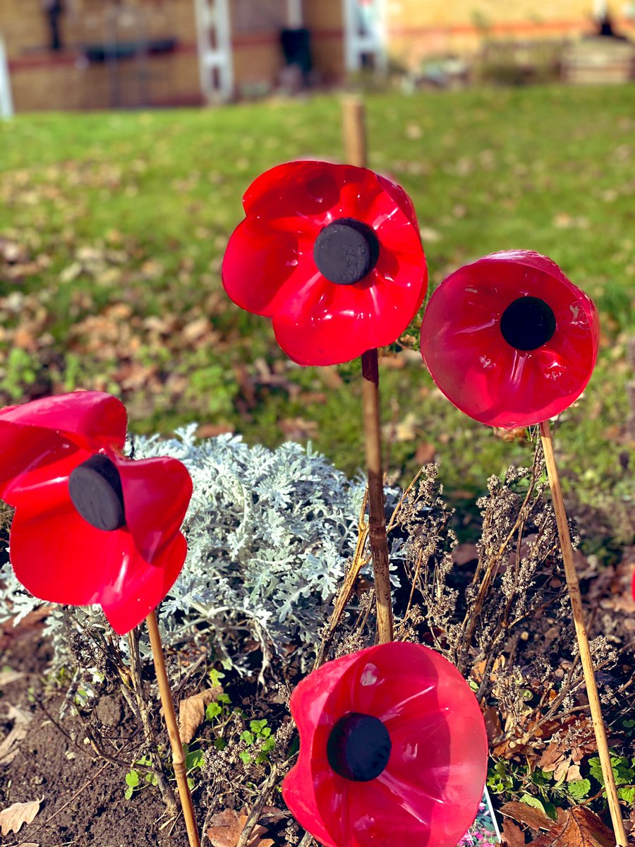 This weeks craft boxes at Ravenswood include all the things needed to make poppies to help celebrate #RemembranceSunday #LestWeForget <a href="/NorwoodRavensw1/">Norwood Ravenswood</a>