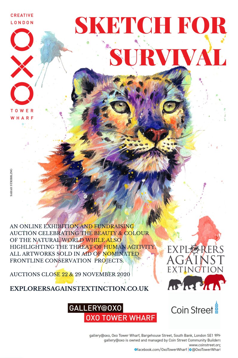 The show must go on...
#sketchforsurvival exhibition is now virtual.

ALL profit from the online auction of wildlife &amp; wild space artwork supports our projects so please fill your boots -  get browsing &amp; bidding.

Auctions close 22 + 29 November!

explorersagainstextinction.co.uk/initiatives/sk…