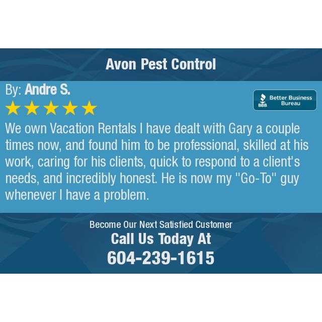 avonpestcontrol's tweet photo. 5 Star: Andre S. "We own  Vacation Rentals             I have dealt with Gary a couple times now, and found him..." https://t.co/0DXQ6R84Ar https://t.co/gUZp8RjEPX