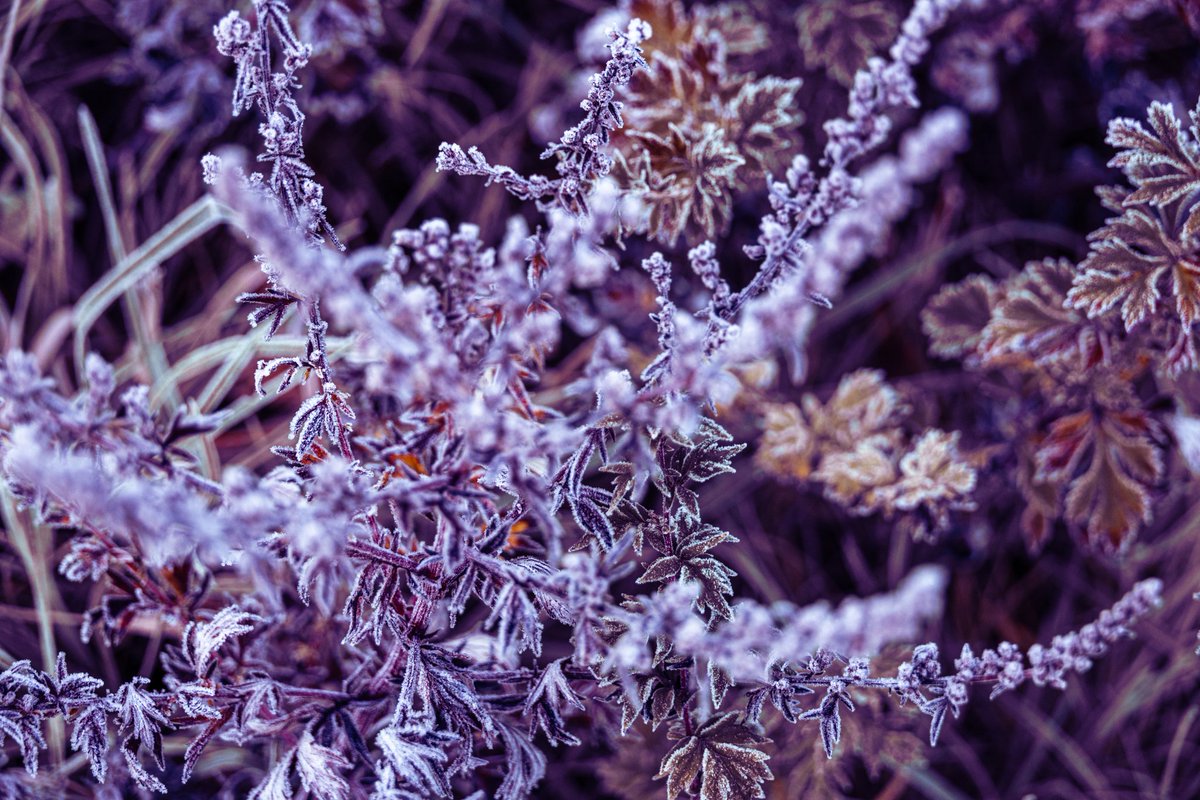 4 from this morning, god I love winter