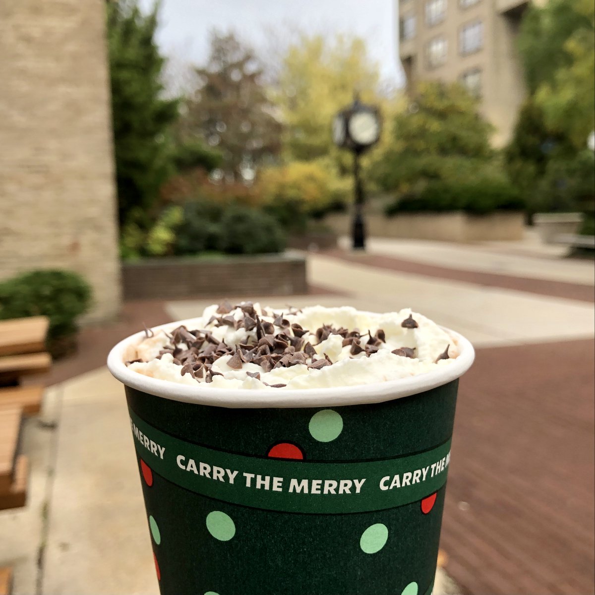 EatingatHofstra's tweet photo. Holiday drinks are back at Starbucks! Stop by today and pick up a Peppermint Hot Chocolate 🍫 ✨ https://t.co/hh9XBw8uby