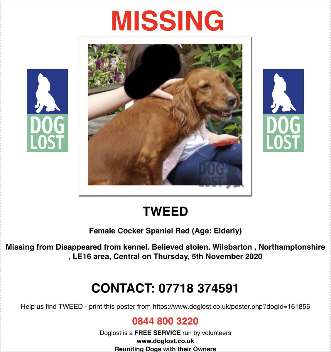 KarenFi51820768's tweet photo. #help Elderly deaf and blind Tweed was stolen from her garden in #Wilsbarton , #Northamptonshire - there have been several sightings of her Sutton Bassett/Weston by welland as believe thieves dumped her realising she was elderly @ChronandEcho https://t.co/tQJ1Zq7TQL #RT @HunnyJax https://t.co/2t26CzlIn9