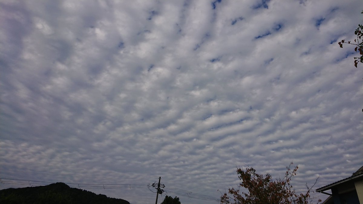 yujuha's tweet photo. 「わあ、空がきれいだよ!」
子供達の声に空を見上げて
隣の小さな彼と
目を合わせて
一緒に笑った今日の午後
私にとって
あなた達7人は
伝えたい言葉が
生まれてくる
「はじまりの場所」
あなた達がいるから
私の心に
いつも言葉が生まれます
@BTS_twt
#TO_BTS
#From_SUGA
#GetWellSoonYoongi https://t.co/dlTkSN4mFL