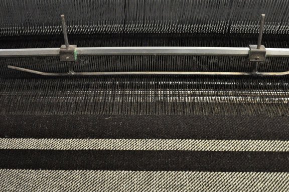 Zwartbles Ireland • Suzanna Crampton tweet media