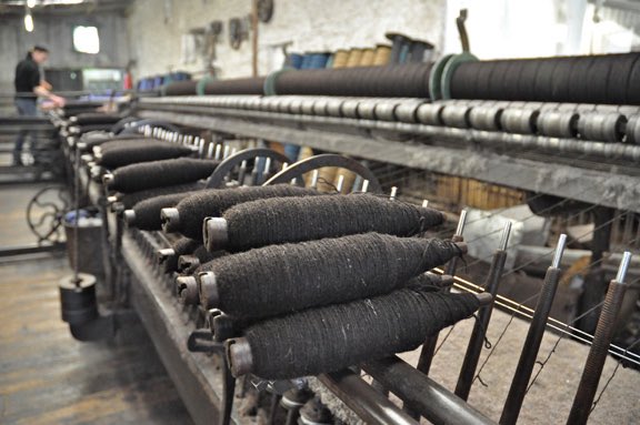 Zwartbles Ireland • Suzanna Crampton tweet media