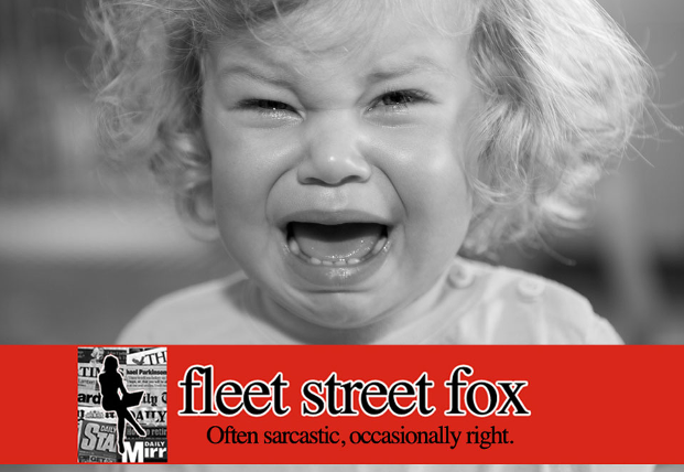 fleetstreetfox tweet media