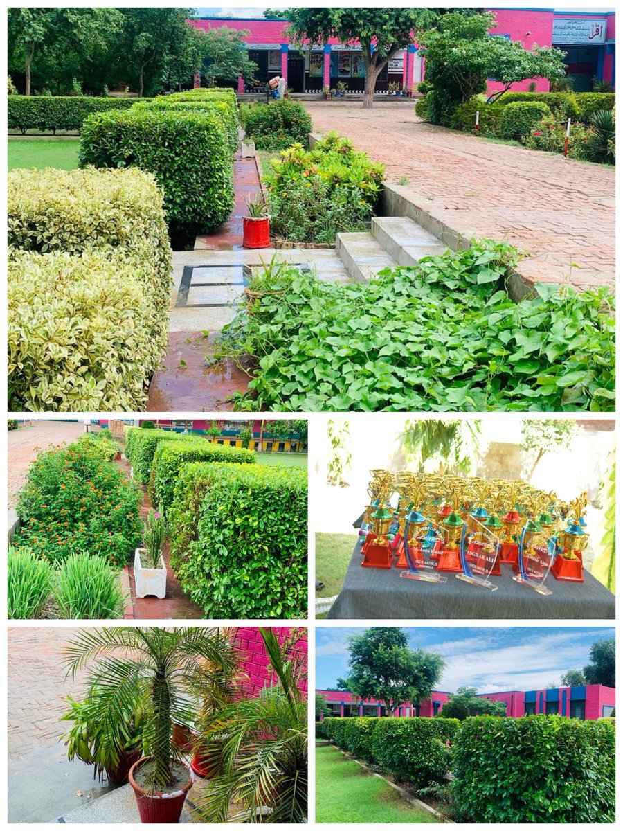 IsrarHaq9's tweet photo. #Flourishing_GovtSchools_Vehari,
Who seeks finds
A real miracle #the eye catching beauty of #GES_447/EB Burewala #Excellent #Work #hard_worker Headmaster,his team and ,AEO & Dy.DEO
# HM.Qasim
@DrMuradPti
@dc_vehari @WaqasRashid_PAS
@Muhamma60643220
@waqarazeemlodhi https://t.co/o64xNUMMGq