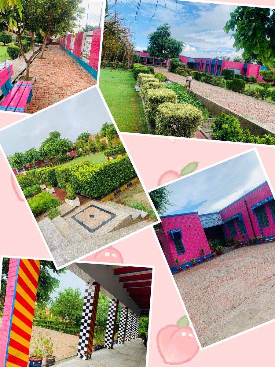 IsrarHaq9's tweet photo. #Flourishing_GovtSchools_Vehari,
Who seeks finds
A real miracle #the eye catching beauty of #GES_447/EB Burewala #Excellent #Work #hard_worker Headmaster,his team and ,AEO & Dy.DEO
# HM.Qasim
@DrMuradPti
@dc_vehari @WaqasRashid_PAS
@Muhamma60643220
@waqarazeemlodhi https://t.co/o64xNUMMGq