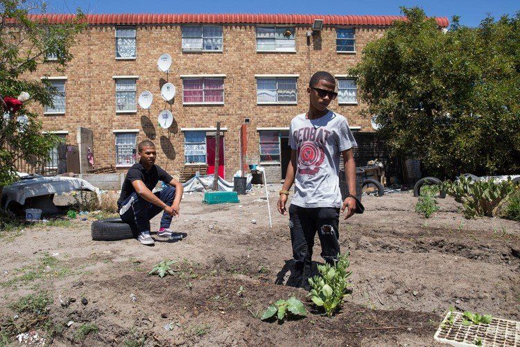 ExtremeSoupath1's tweet photo. Elsies River youth start garden to feed their community https://t.co/LDUE6VA1KN https://t.co/f1NVEQWrXe
