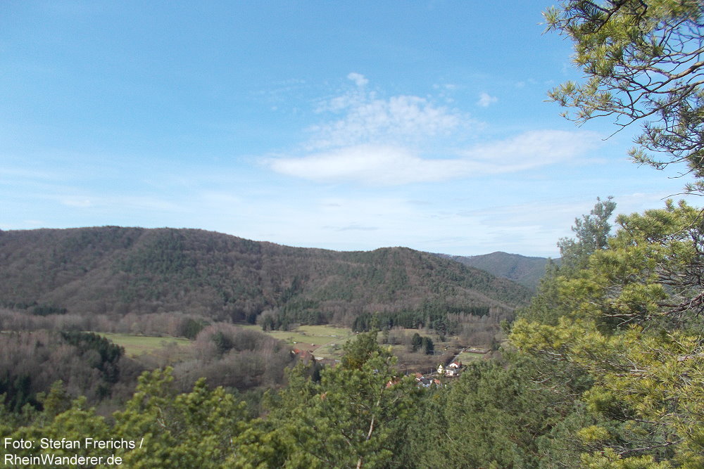 RheinWanderer's tweet photo. #Wandern im #Pfälzerwald: Diese herrliche Rund-#Wanderung (11 km) führt auf dem Buntsandstein-#Höhenweg rund um #Dimbach. Es geht u.a. zum #Kaftenstein (Foto: Ausblick). Mein #Tipp: Genießt die Aussichten! Mehr Fotos + Infos hier: https://t.co/x4uo7ga3Tu #Pfalz #RLPerleben https://t.co/e6egsGqsRF