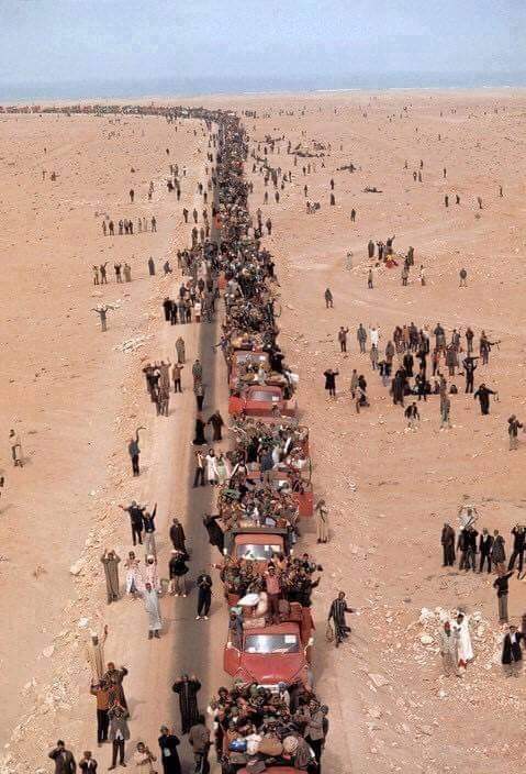 ysartma's tweet photo. الذكرى 45 ل #المسيرة_الخضراء 💚🇲🇦
 350 ألف مغربي رجال و نساء 💪 لبوا نداء الحسن بغية إسترجاع أقاليمنا الجنوبية من الإستعمار الإسباني .
#الحسن_الثاني https://t.co/r40SwSoJAN