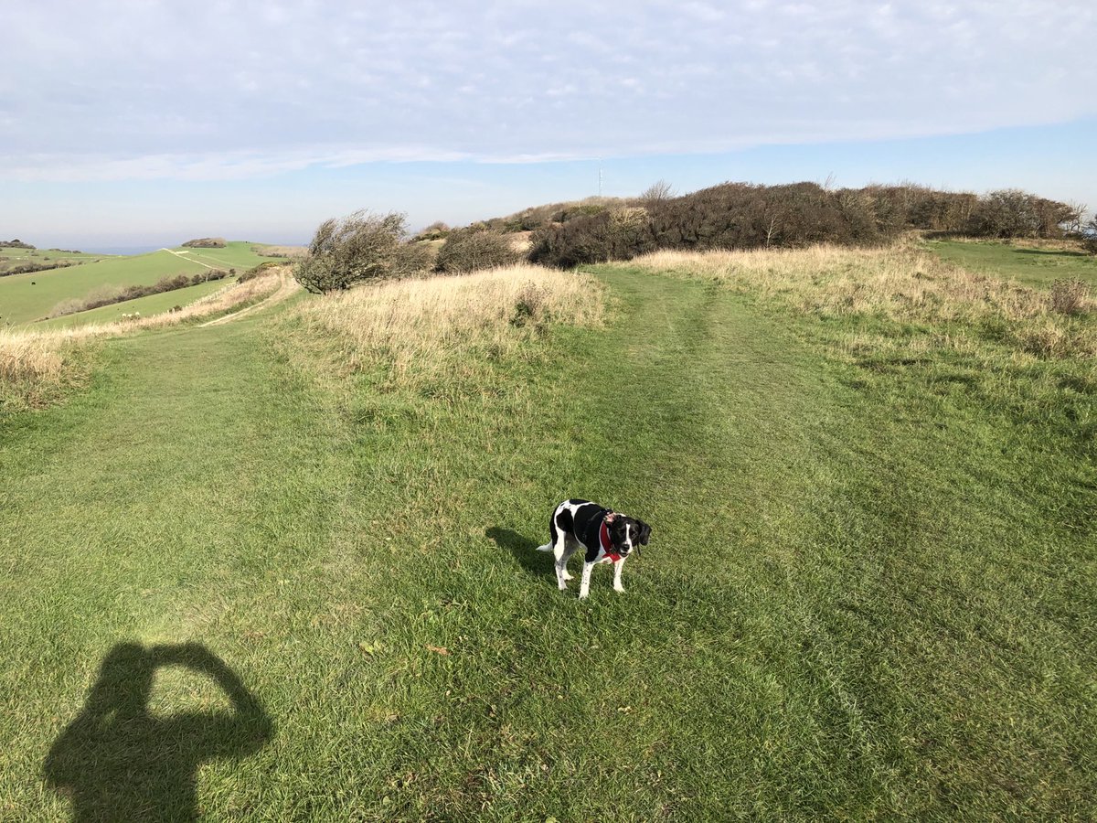 Beautiful morning to run 🐶☹️