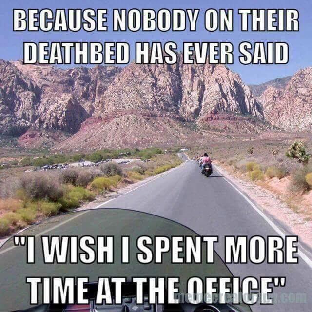 TheCatTrumpp's tweet photo. So Get Out and Ride 🤘🏻#chubbybars https://t.co/UnRBROPCsl