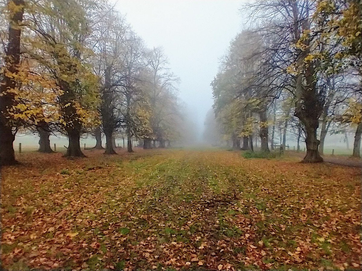 judymum's tweet photo. Lovely Misty morning walk @WollatonHall @FOWP_ @MyNottingham #lockdown #dailymotivation @countrywalking https://t.co/TnBpnzbqkp