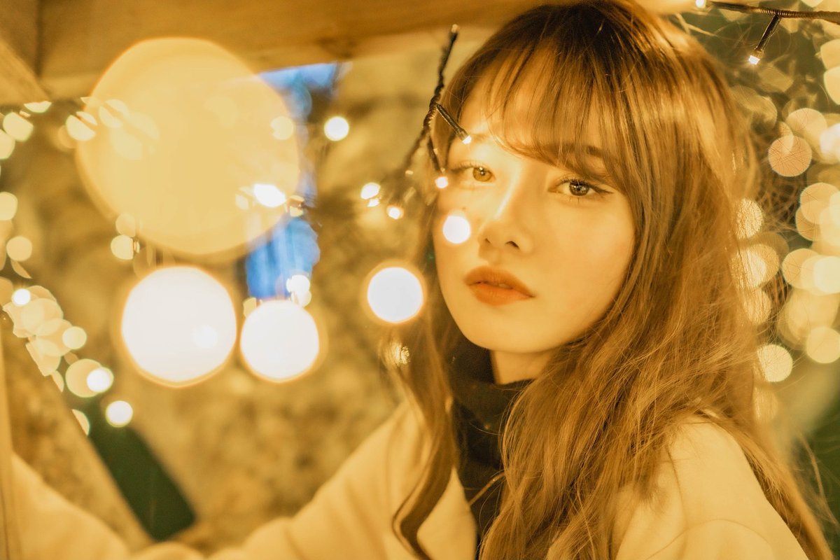 東南植物楽園イルミネーション 東南植物楽園イルミネーション