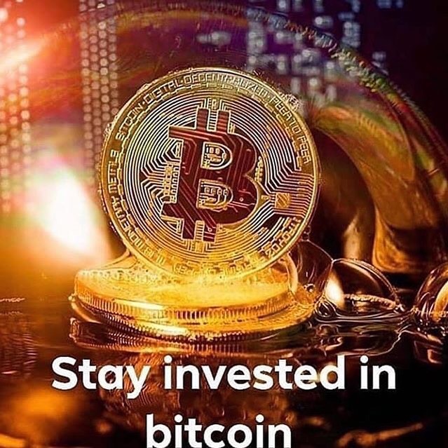 Are you interested in making money right from the comfort of home 🏡 without doing the daily 9-5, Invest Now in bitcoin.
 #coinbase #usa #finance #startup #forexsignals #bitcoingermany #cryptocurrencies #makemoneyonline #cash #bitcoinmining #investment #bitcoincolombia