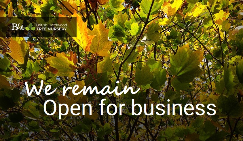bhtnursery's tweet photo. We wish to reassure our customers we continue to be open for business throughout the second lockdown, whilst operating under strict guidelines to ensure everyone stays safe.  Stay safe and well - from all the team at BHT HQ.
https://t.co/3AaypSeACQ
#bareroot #cellgrown #trees https://t.co/Xm8DhKhQKk