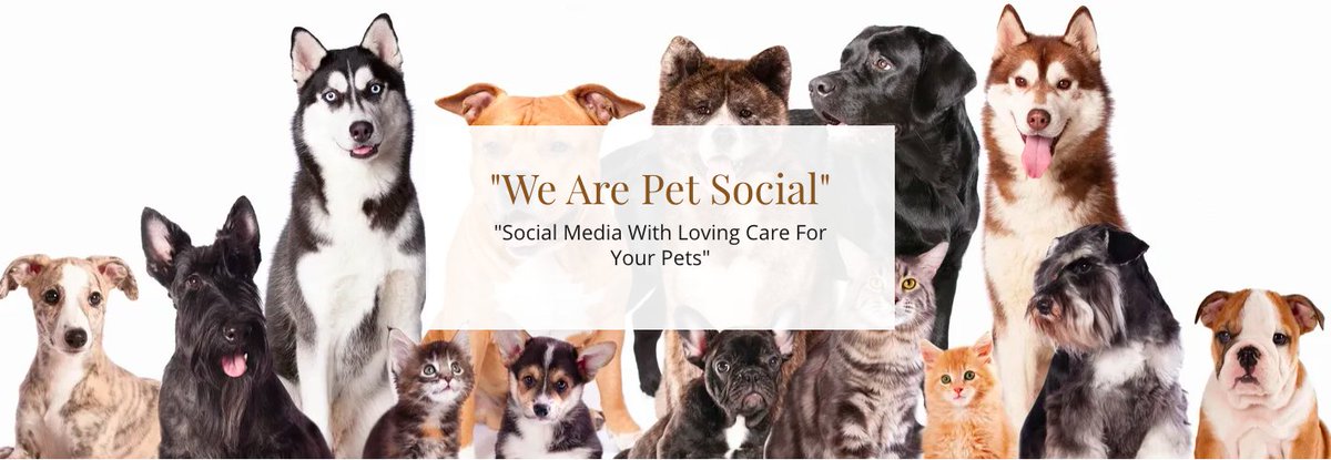 PetRegards's tweet photo. SOMETHING NEW!  Hello Pet Lovers, https://t.co/tHWMUJmWL7 has now launched and we invite you to share in the Fun.
#Pet #Pets #SocialMedia #petlovers 
https://t.co/oghCAkHyFP https://t.co/OmcP8lMUT1