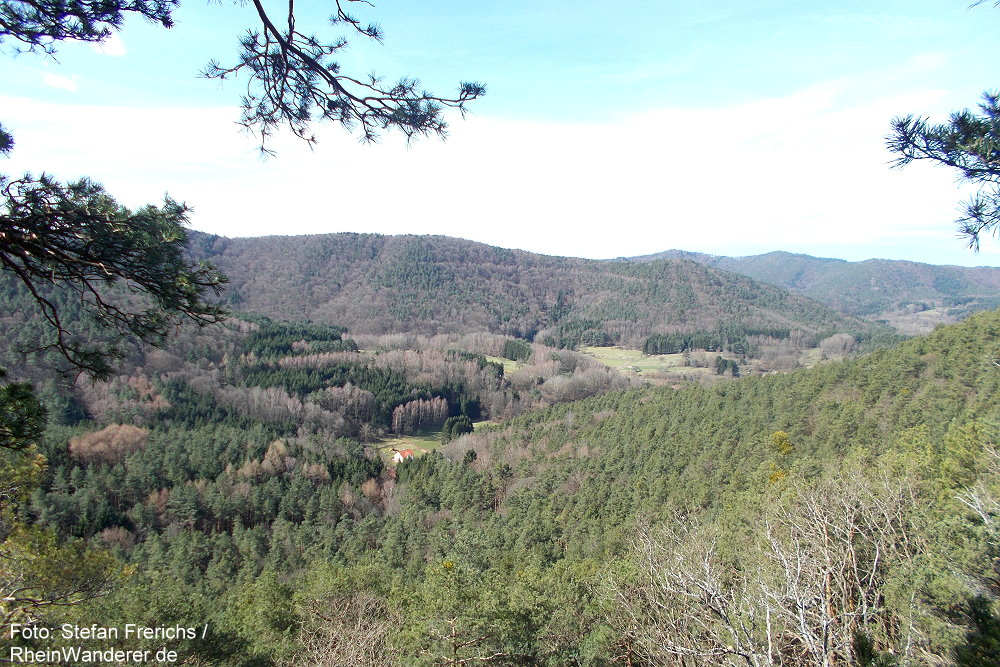 RheinWanderer's tweet photo. #Wandern im #Pfälzerwald: Diese schöne Rund-#Wanderung (11 km) verläuft auf dem Buntsandstein-#Höhenweg rund um #Dimbach. Es geht u.a. zum #Dimberg (Foto: Ausblick). Meine #Bitte: Haltet Abstand zu Felskanten! Mehr Fotos + Infos hier: https://t.co/x4uo7ga3Tu #Pfalz #RLPerleben https://t.co/2HN4zVH4AJ
