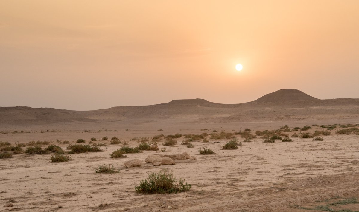 An important general problem with QNNs is the barren plateau (BP) phenomenon, the quantum equivalent of vanishing gradients: when a QNN is randomly initialized, its gradient tends to vanish exponentially with the # of qubits...3/N