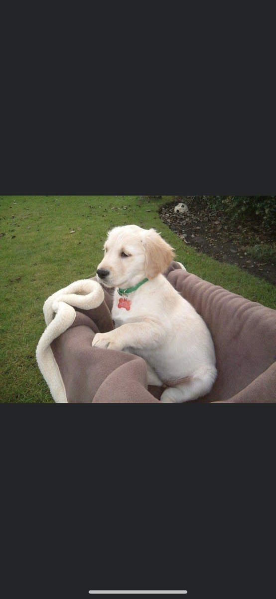 KieranColley123's tweet photo. Happy 15th birthday Maddie, you fucking trooper https://t.co/bLmKx0nE0a