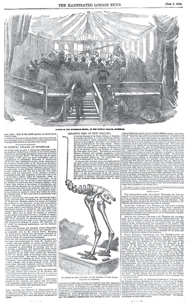 As a PR event, the banquet paid off handsomely. It was written about across Europe, including a near full page-spread in the Illustrated London News. The associated 'Gigantic Bird' article is not obvious CP-related, but it bigs up Owen and his work reconstructing the moa...