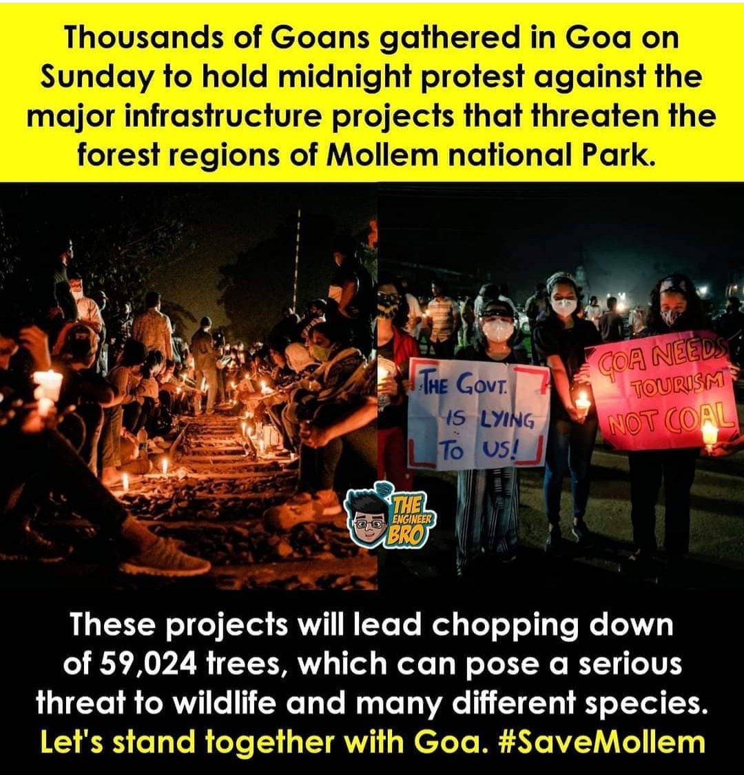 1kush_hemant's tweet photo. Yes, I am not from Goa. But, I too support them to save Mollem. Any project, that affects nature should be banned.

#SaveMollem #SaveMollemGoa #savetrees @deespeak @AAPGoa #goatourism @INCGoa @spnorthgoa @BJP4Goa https://t.co/f4lc1ouB7X