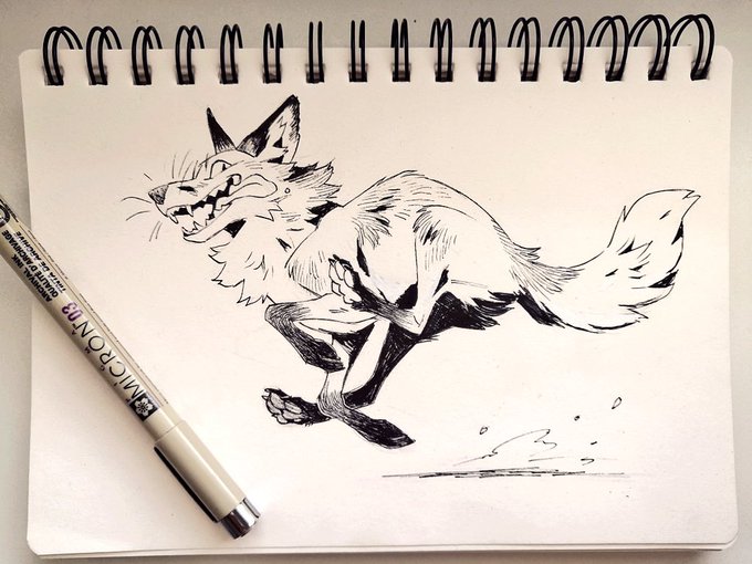 It's been a while since I shared any traditional art. Here's a fox going nyoom in my sketchbook ?? 