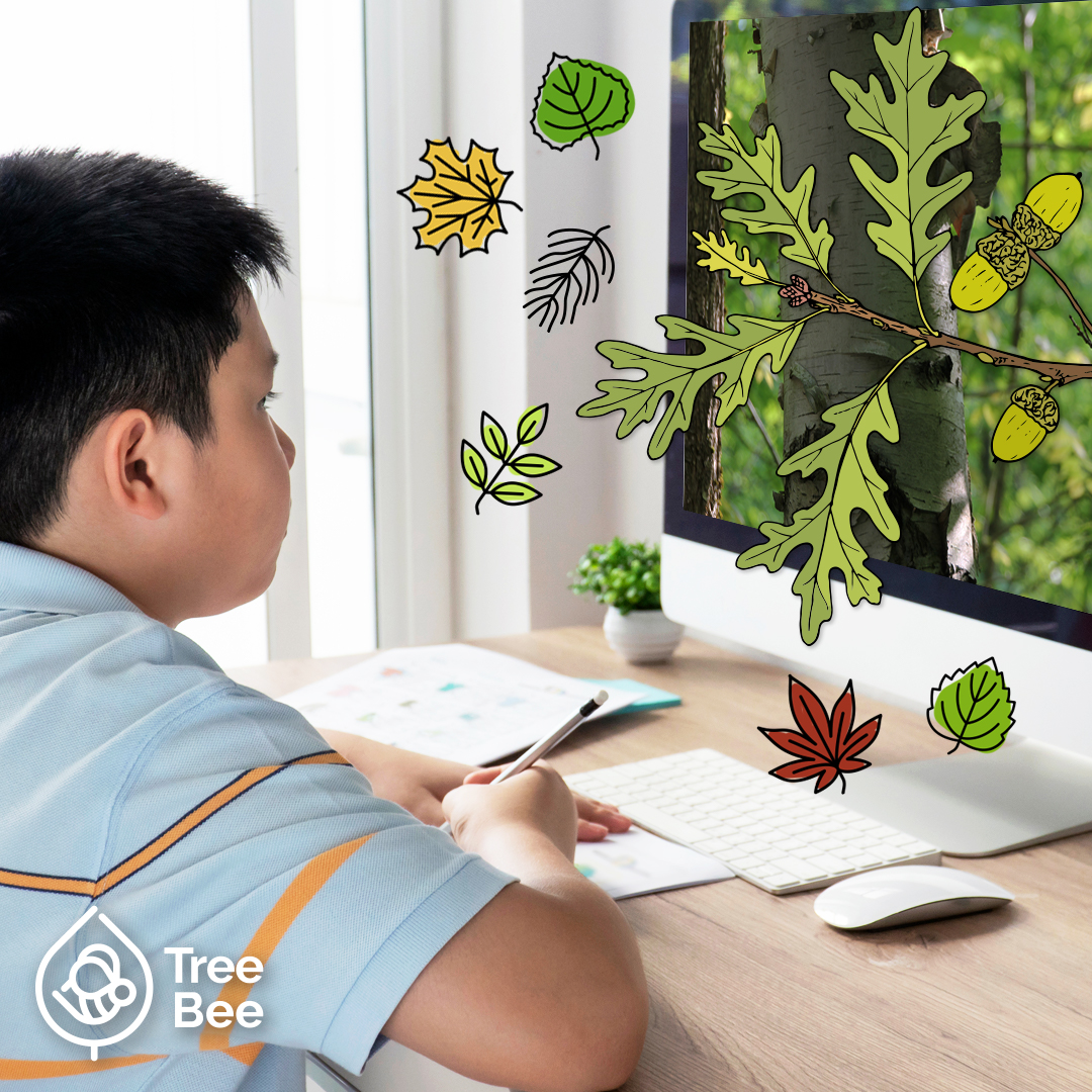 YorkRegionGovt's tweet photo. There is still time to register for this year’s York Region Tree Bee! Students from Grade 4 to 6 can learn and test their tree ID knowledge and compete for the grand prize and the glory.
Register by November 18 at https://t.co/n7S4fhLMV9
@Forests_Ontario @YRDSB @YCDSB https://t.co/tVzw4kf67Y