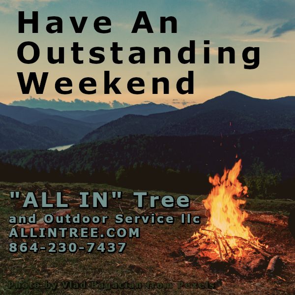 ALLINTREE tweet picture