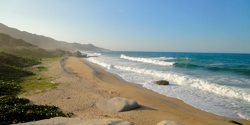 alistandoma's tweet photo. #Noticiasdeturismo El Tayrona se alista para reabrir sus puertas al ecoturismo https://t.co/DSHx1mO0y1 https://t.co/qXHxGpRjgE