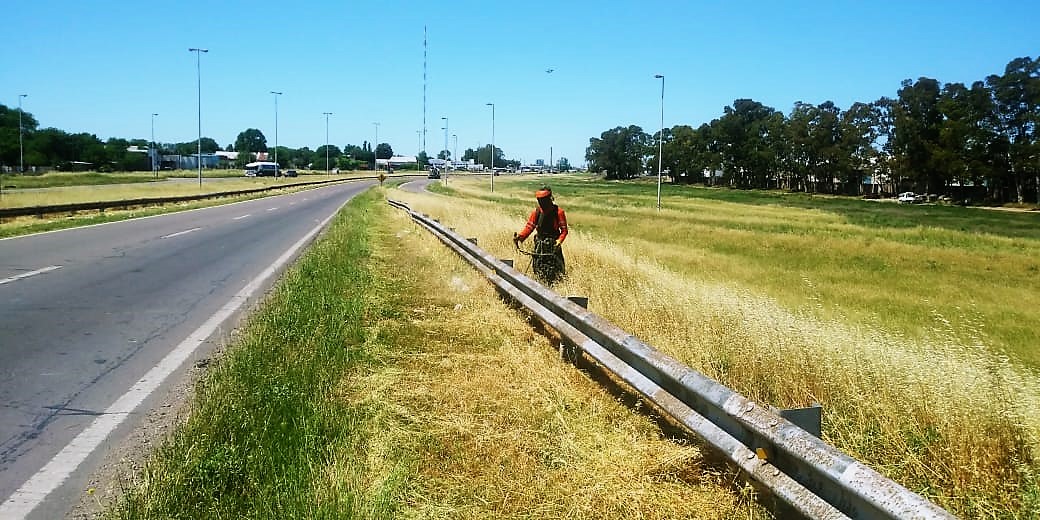 CarinaLambrecht's tweet photo. Trabajos de corte de pastos en #RN3 en accesos a #BahiaBlanca por #AvenidaColon y #PedroPico 🚜 #Conservacion #VialidadNacional #ArgentinaUnida https://t.co/C1uHqzTKqq